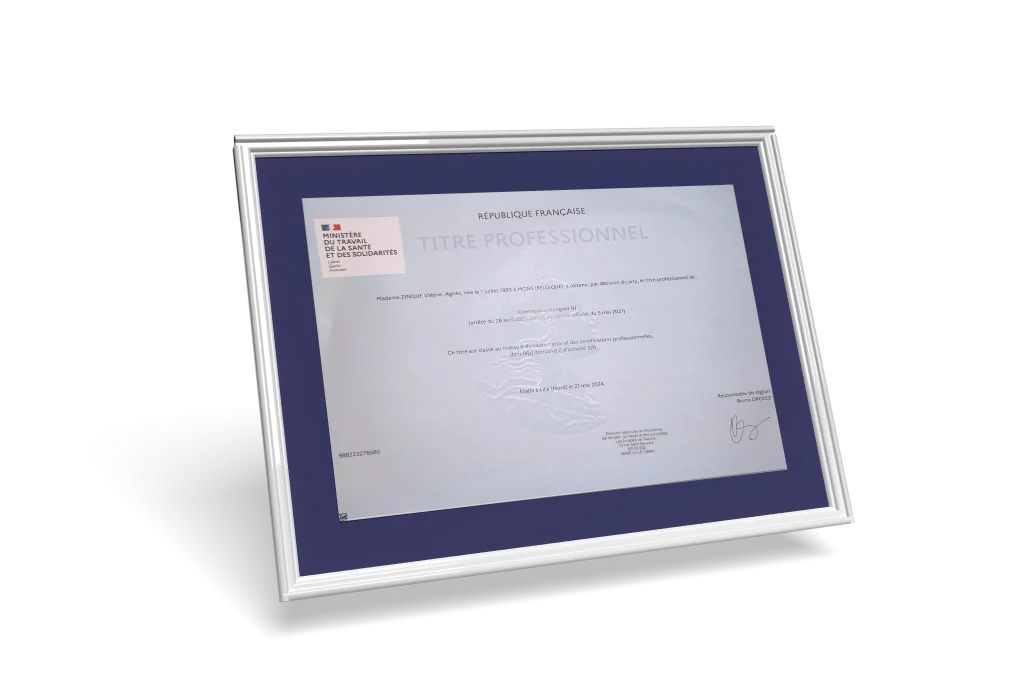 Diplôme Concepteur designer ui