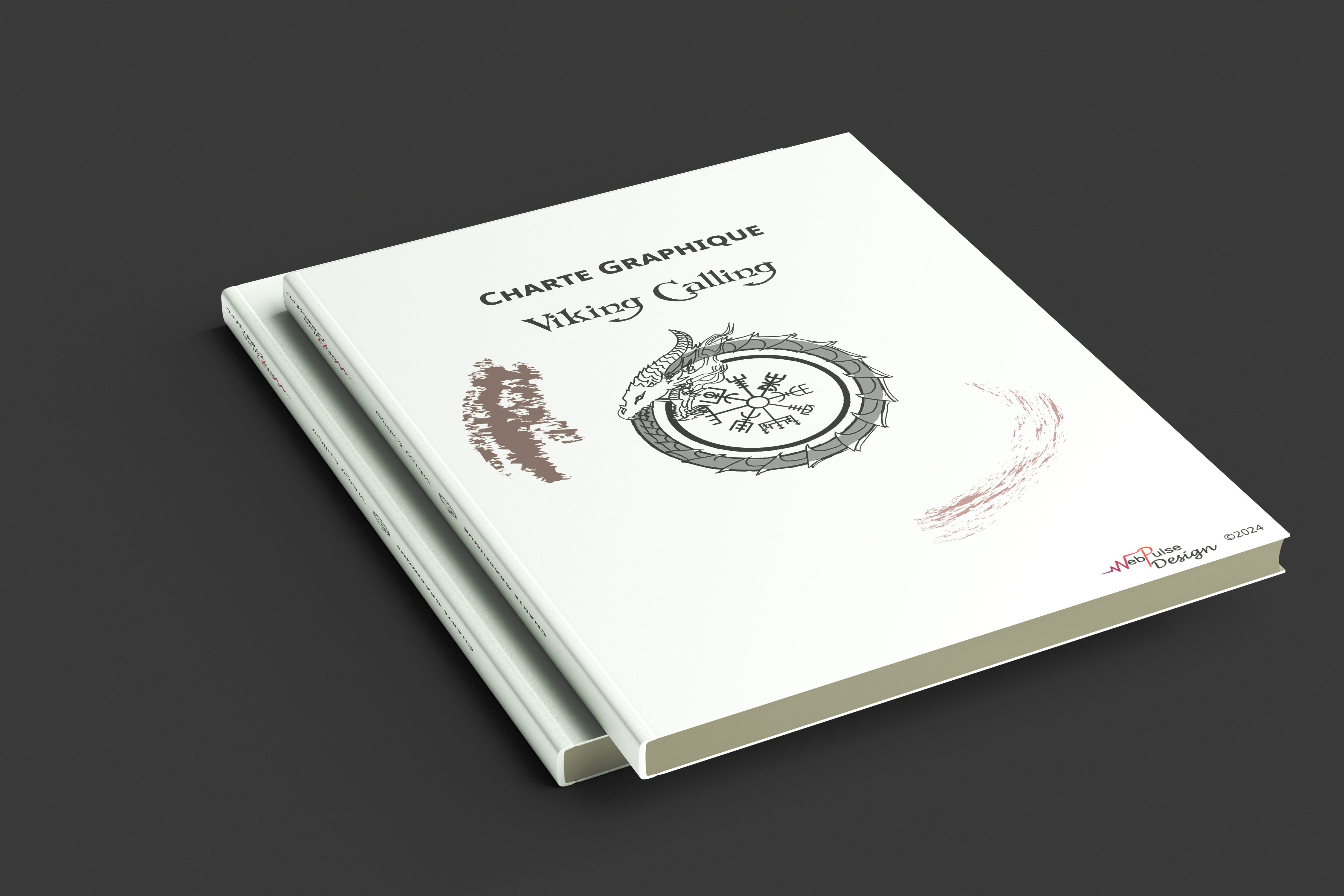 Charte Graphique Shop Viking